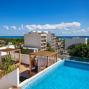 https://terrasse-hotel-playa-del-carmen.quintano-roohotels.com